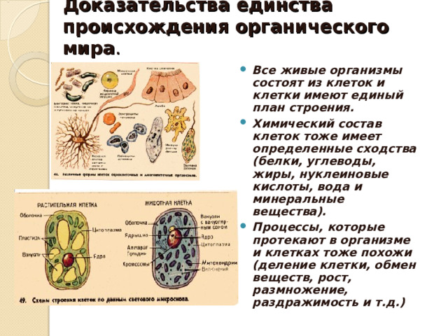 Доказательства единства происхождения органического мира .   Все живые организмы состоят из клеток и клетки имеют единый план строения. Химический состав клеток тоже имеет определенные сходства (белки, углеводы, жиры, нуклеиновые кислоты, вода и минеральные вещества). Процессы, которые протекают в организме и клетках тоже похожи (деление клетки, обмен веществ, рост, размножение, раздражимость и т.д.) 