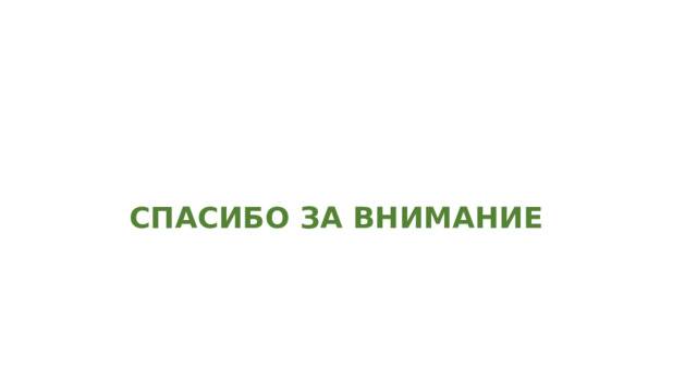 СПАСИБО ЗА ВНИМАНИЕ 