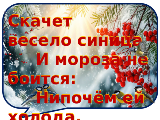 ZVA Скачет весело синица  И мороза не боится:  Нипочём ей холода,  Коль в кормушке есть еда! Скачет весело синица  И мороза не боится:  Нипочём ей холода,  Коль в кормушке есть еда!