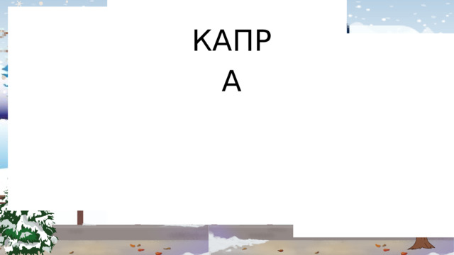 КАПРА 