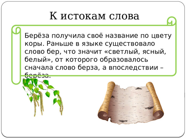 К истокам слова Берёза получила своё название по цвету коры. Раньше в языке существовало слово бер, что значит «светлый, ясный, белый», от которого образовалось сначала слово берза, а впоследствии – берёза. 