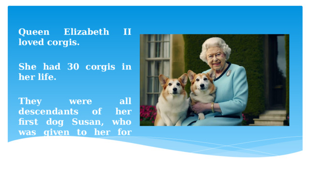 Queen Elizabeth II loved corgis.  She had 30 corgis in her life.  They were all descendants of her first dog Susan, who was given to her for 18 th birthday. 