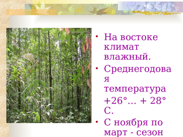 На востоке климат влажный. Среднегодовая температура  +26°… + 28° С. С ноября по март - сезон дождей . 