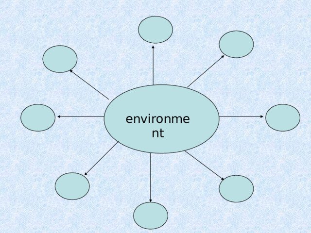 environment 