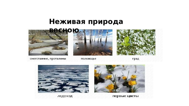 Неживая природа весною 