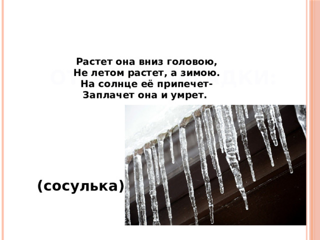 Отгадай загадки: Растет она вниз головою, Не летом растет, а зимою. На солнце её припечет- Заплачет она и умрет.     (сосулька) 