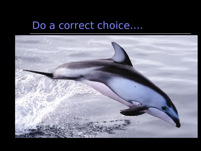 Do a correct choice…. 