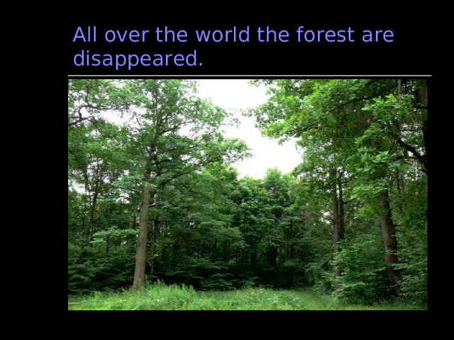 All over the world the forest are disappeared. 