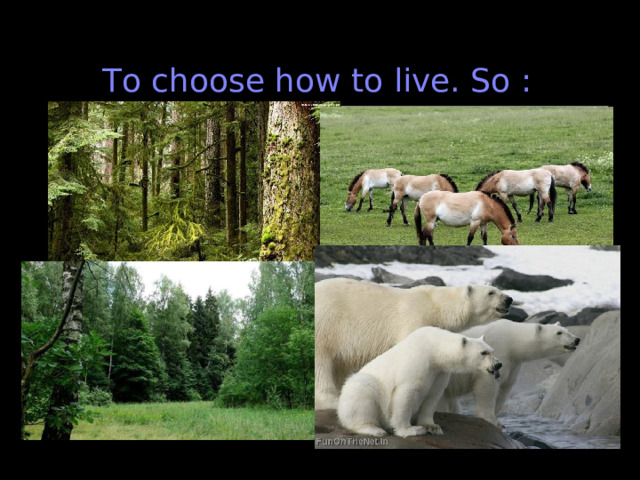 To choose how to live. So : 