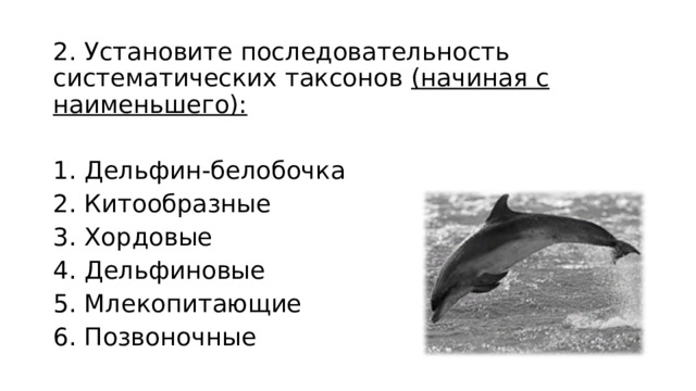 2. Установите последовательность систематических таксонов (начиная с наименьшего): 1. Дельфин-белобочка 2. Китообразные 3. Хордовые 4. Дельфиновые 5. Млекопитающие 6. Позвоночные 