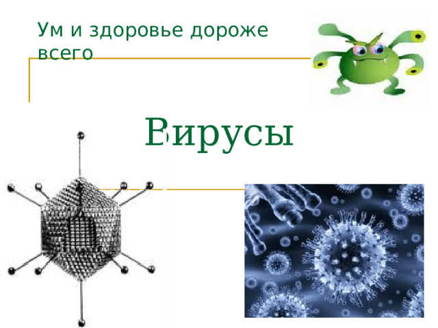 Ум и здоровье дороже всего   Вирусы   