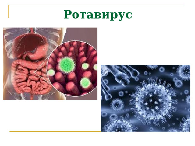  Ротавирус 