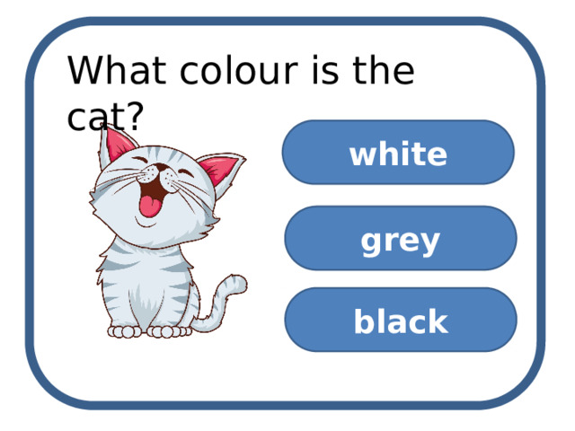 What colour is the cat? white grey black 