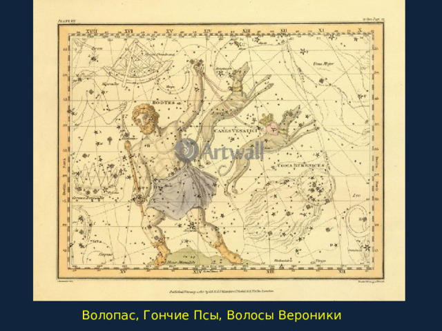 Волопас, Гончие Псы, Волосы Вероники 