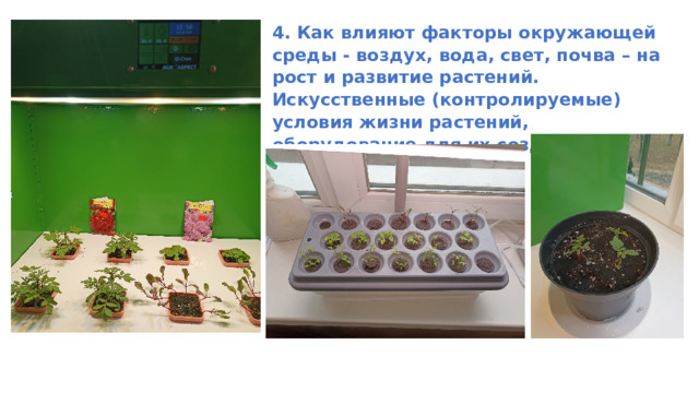 4. Как влияют факторы окружающей среды - воздух, вода, свет, почва – на рост и развитие растений. Искусственные (контролируемые) условия жизни растений, оборудование для их создания, для чего они необходимы. 