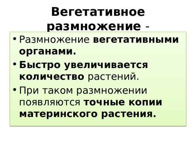 Вегетативное размножение - Размножение вегетативными органами. Быстро увеличивается количество растений. При таком размножении появляются точные копии материнского растения. 