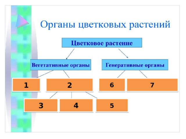 1 2 7 6 3 4 5 
