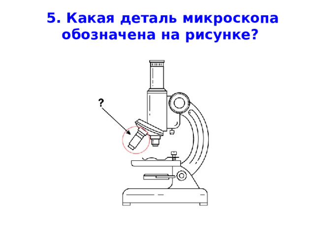 5. Какая деталь микроскопа обозначена на рисунке?         