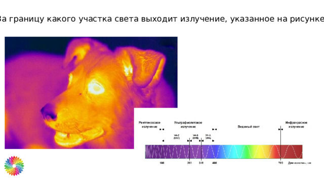 9. За границу какого участка света выходит излучение, указанное на рисунке? 
