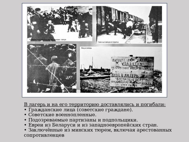 В лагерь и на его территорию доставлялись и погибали:  • Гражданские лица (советские граждане).   • Советские военнопленные.   • Подозреваемые партизаны и подпольщики.  • Евреи из Беларуси и из западноевропейских стран.  • Заключённые из минских тюрем, включая арестованных сопротивленцев 