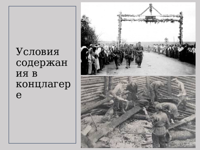 Условия содержания в концлагере 