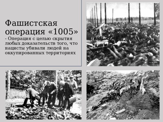 Фашистская операция «1005»  - Операция с целью скрытия любых доказательств того, что нацисты убивали людей на оккупированных территориях   