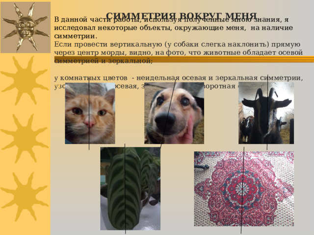  СИММЕТРИЯ ВОКРУГ МЕНЯ       В данной части работы, используя полученные мною знания, я исследовал некоторые объекты, окружающие меня, на наличие симметрии.  Если провести вертикальную (у собаки слегка наклонить) прямую через центр морды, видно, на фото, что животные обладает осевой симметрией и зеркальной;    у комнатных цветов - неидельная осевая и зеркальная симметрии, узор на ковре – осевая, зеркальная и поворотная симметрии.      ,  /Э . 