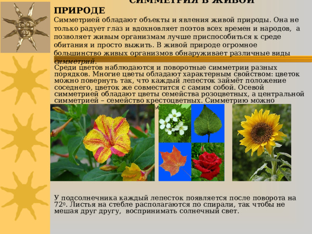  СИММЕТРИЯ В ЖИВОЙ ПРИРОДЕ  Симметрией обладают объекты и явления живой природы. Она не только радует глаз и вдохновляет поэтов всех времен и народов,  а позволяет живым организмам лучше приспособиться к среде обитания и просто выжить. В живой природе огромное большинство живых организмов обнаруживает различные виды симметрий.    Среди цветов наблюдаются и поворотные симметрии разных порядков. Многие цветы обладают характерным свойством: цветок можно повернуть так, что каждый лепесток займёт положение соседнего, цветок же совместится с самим собой. Осевой симметрией обладают цветы семейства розоцветных, а центральной симметрией – семейство крестоцветных. Симметрию можно увидеть и на листьях деревьев. У подсолнечника каждый лепесток появляется после поворота на 72 0 . Листья на стебле располагаются по спирали, так чтобы не мешая друг другу, воспринимать солнечный свет. 