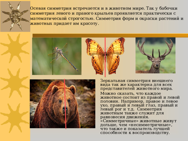 Осевая симметрия встречается и в животном мире. Так у бабочки симметрия левого и правого крыльев проявляется практически с математической строгостью. Симметрия форм и окраски растений и животных придает им красоту.   Зеркальная симметрия внешнего вида так же характерна для всех представителей животного мира. Можно сказать, что каждое животное состоит из правой и левой половин. Например, правое и левое ухо, правый и левый глаз, правый и левый рог и т.д. Симметрия животным также служит для равновесия движения. «Симметричные» животные живут дольше, чем «несимметричные», что также и показатель лучшей способности к воспроизводству. 