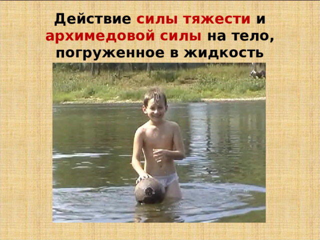Действие силы тяжести и архимедовой силы на тело, погруженное в жидкость 