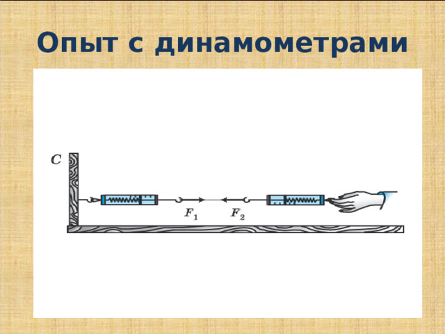 Опыт с динамометрами 
