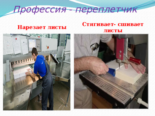 Профессия - переплетчик Стягивает- сшивает листы Нарезает листы 