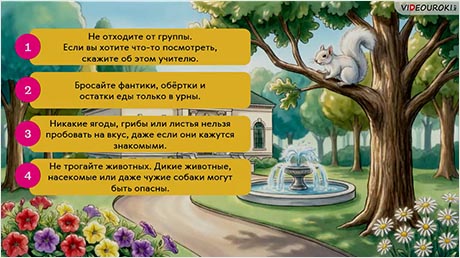 Наши приключения. Правила безопасности на экскурсиях и городских праздниках