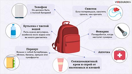 Как весело и безопасно гулять в лесу и на природе